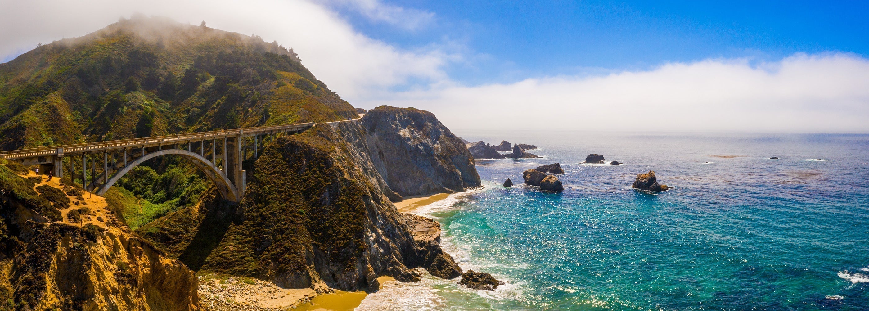 California Rings the New Year with a New Plastic Bag Ban – Earthwise ...