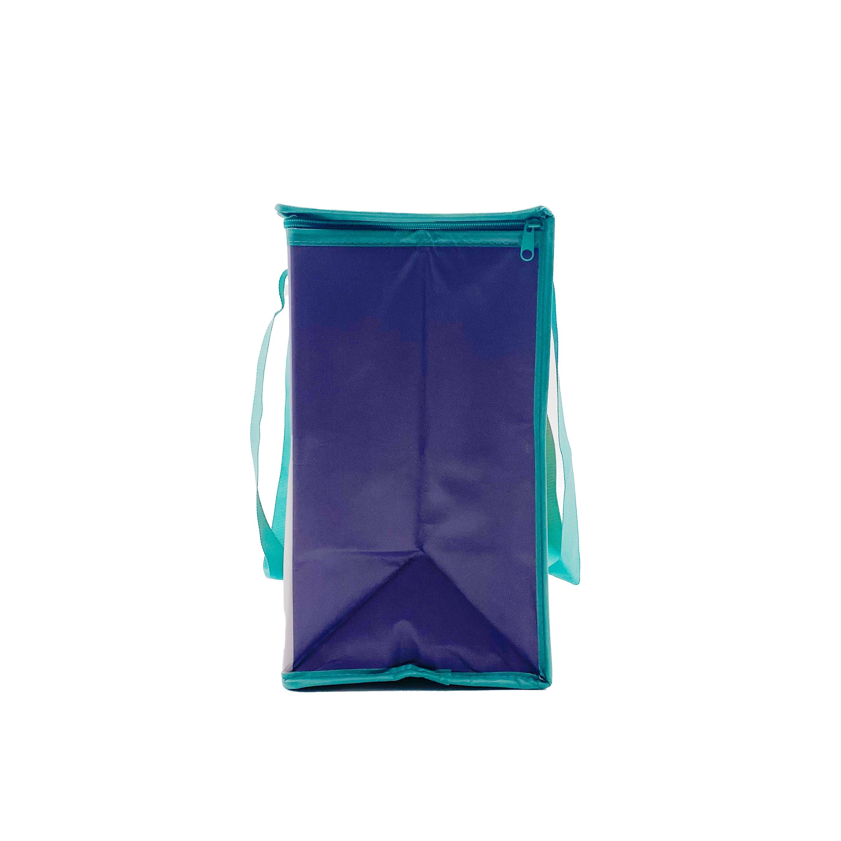 Medium Insulated Bag in Cool Crushes – Earthwise Reusable Bags