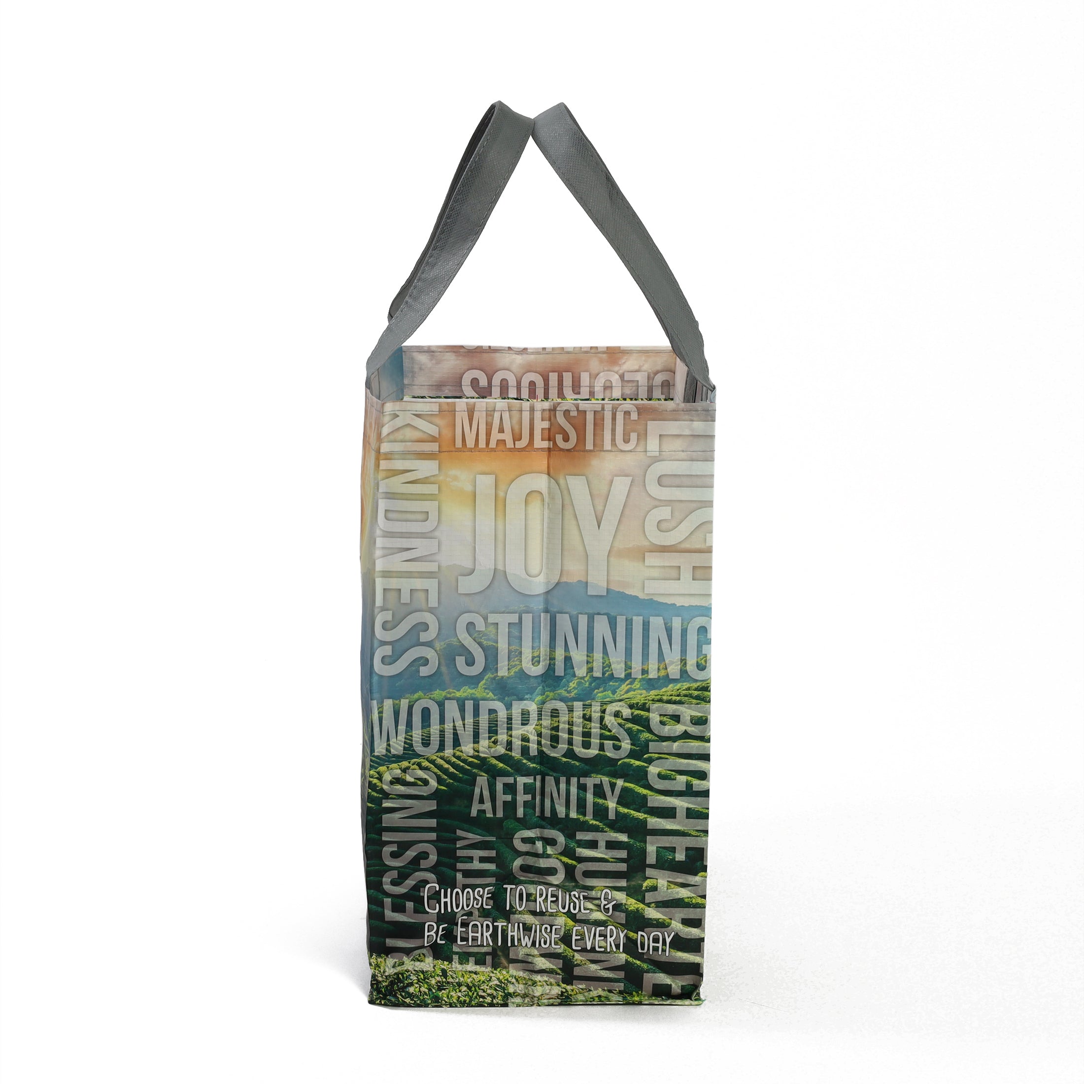 EARTHWISE Reusable Bag Wholesome Pantry Hot/Cold, 1 each