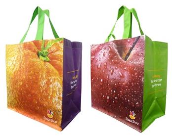 Medium Weekender Laminated Woven PP Grocery Bag Earthwise